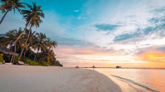 οι-διακοπές-των-10-εκατ-δολαρίων-κυνηγώ-562855369