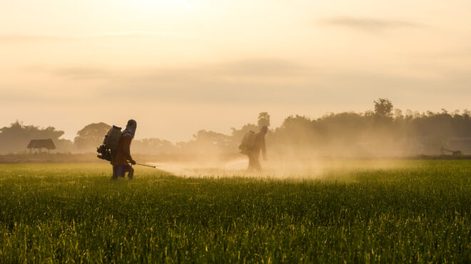 απαγορευμένα-φυτοφάρμακα-από-το-παρ-562813576
