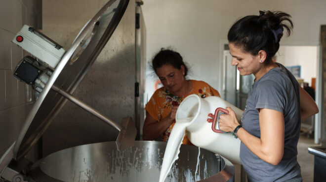 βοναπάρτης-ένα-ακριτικό-τυροκομείο-π-562841101