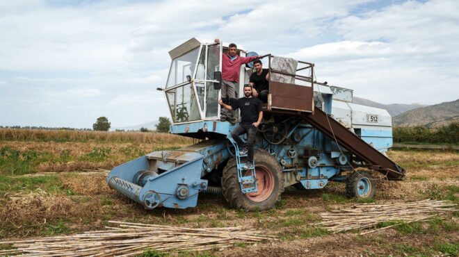 prespa-top-τρίτης-γενιάς-φασολοπαραγωγοί-στη-562858912