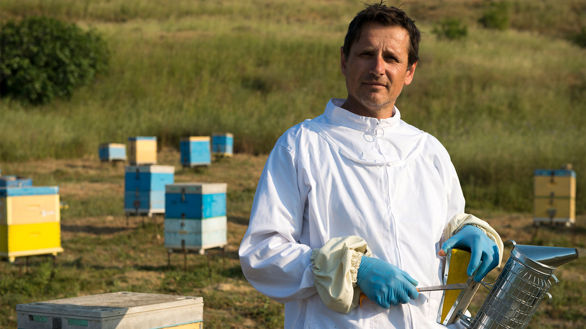 Ένα θυμαρίσιο μέλι από τη Λήμνο ανώτερο και από το περίφημο Μανούκα!-1