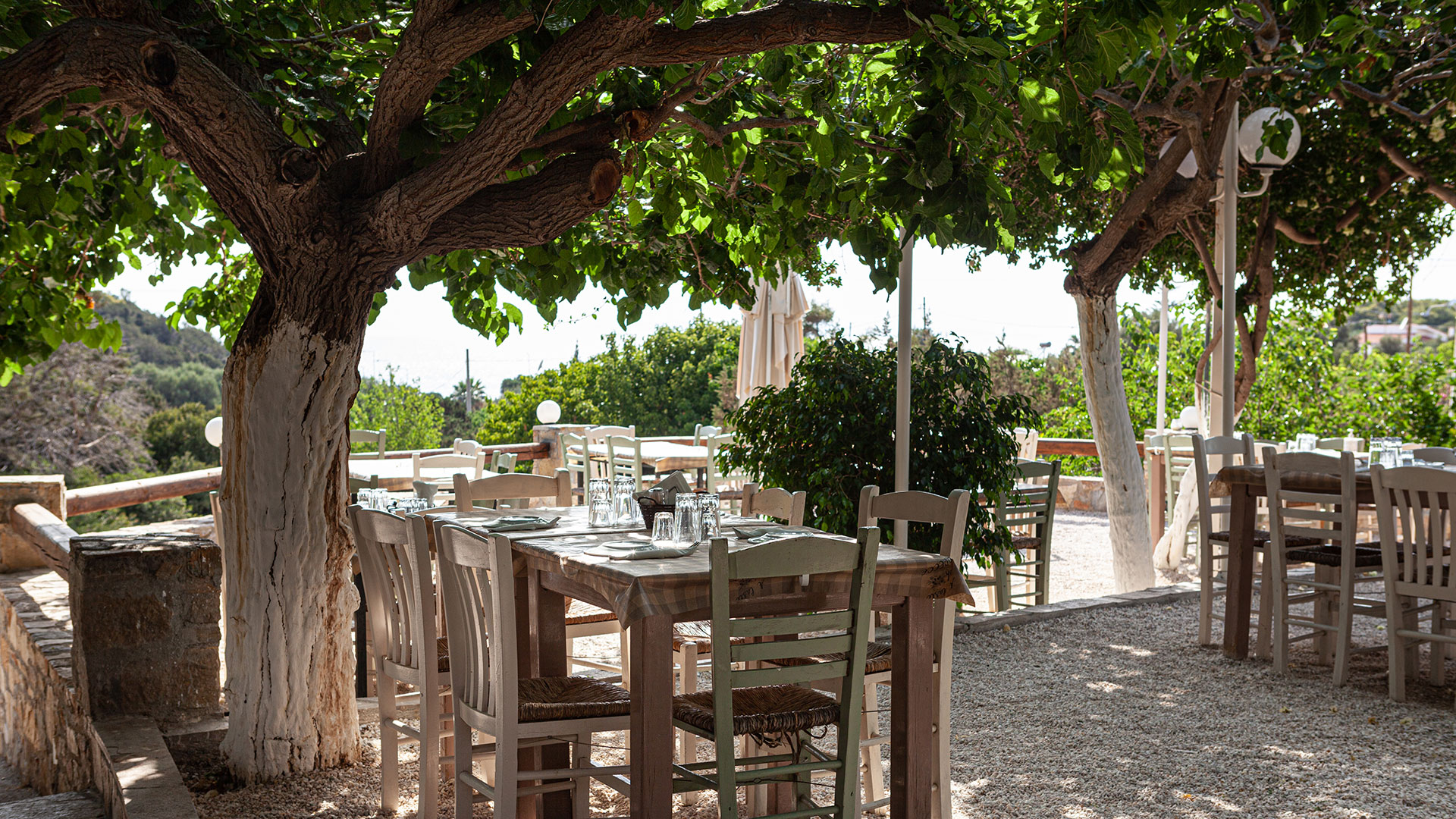 Τα 10 πιο δημοφιλή άρθρα του gastronomos.gr για το 2023-1