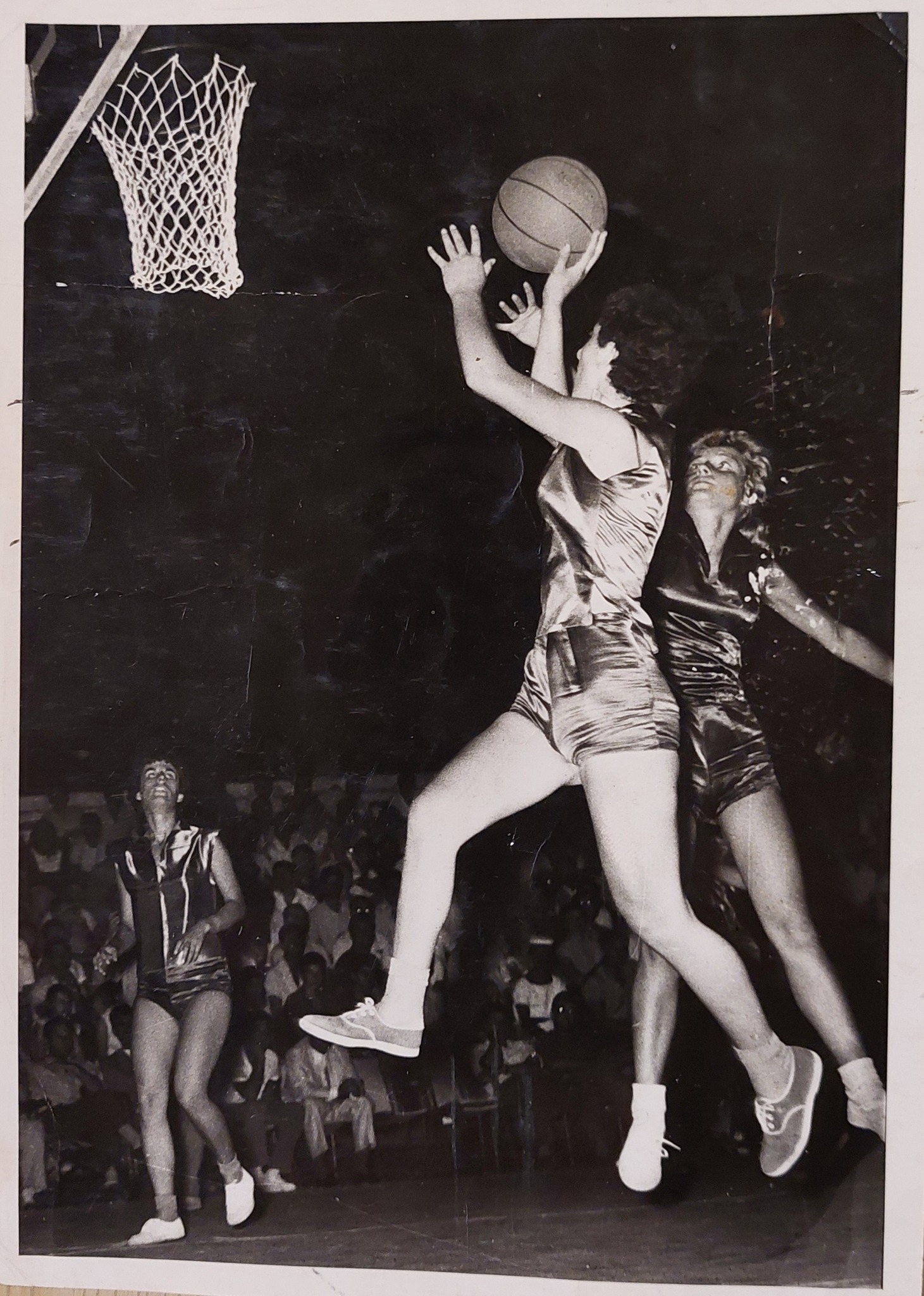 οταν-η-δήμητρα-ζαπονίδου-έγινε-ο-μήτσ-562846381