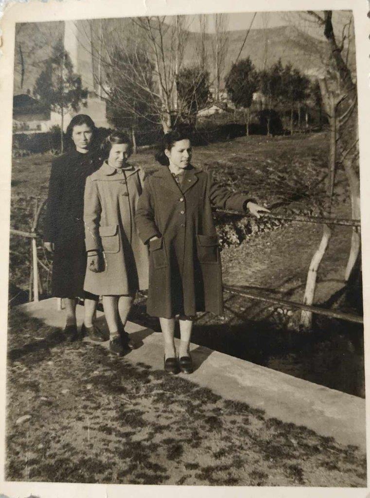 η-ζωή-μιας-ψυχοκόρης-562875139