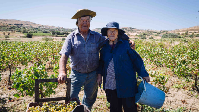 θες-να-γνωρίσεις-καλύτερα-τη-λήμνο-πιε-562875019