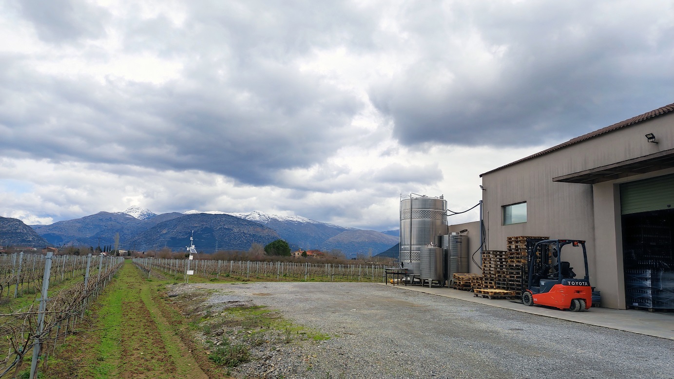 Τρίπολη: Το νέο στρατηγείο της πόλης θα έχει απαντήσεις για όλα-4