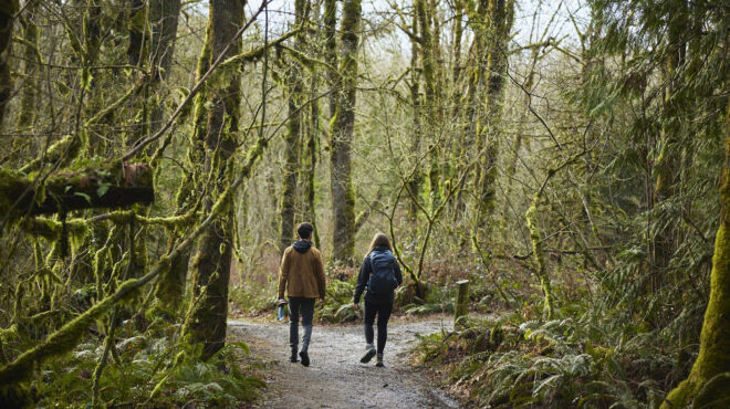 ψυχοθεραπευτές-αντικαθιστούν-τον-κα-562908565