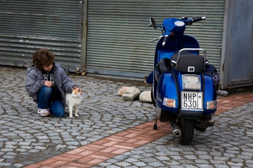 ο-χαρακτήρας-των-ελλήνων-562888975