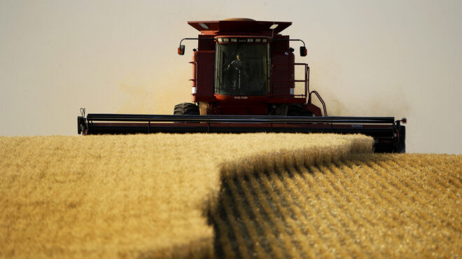 εεκε-αισχροκέρδεια-από-μεσάζοντες-εκ-562882828