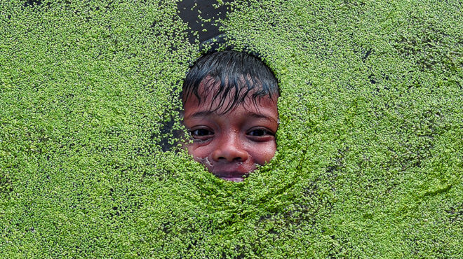 η-χαρά-των-παιδιών-562895515