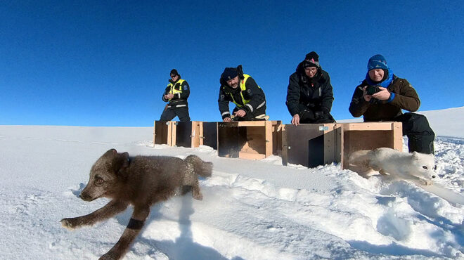 υπάρχει-λύση-562909366