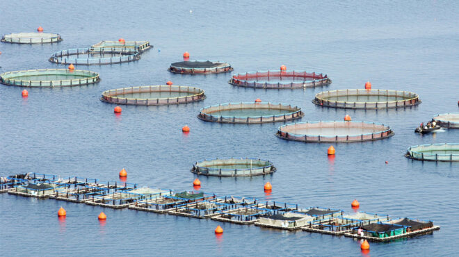 αντίστροφη-μέτρηση-για-την-πώληση-της-av-562860469