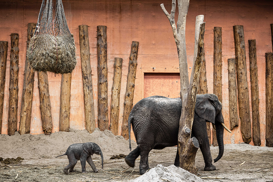 Καταφύγιο-καφέ-3