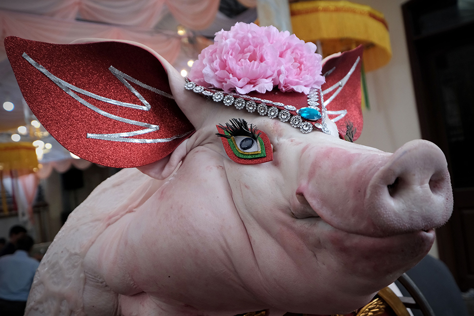 Με προσήλωση στον αγώνα-3