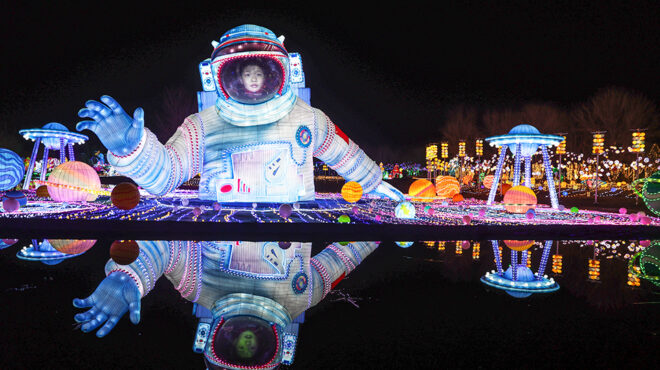 γλυκό-ρύζι-και-φανάρια-562899418