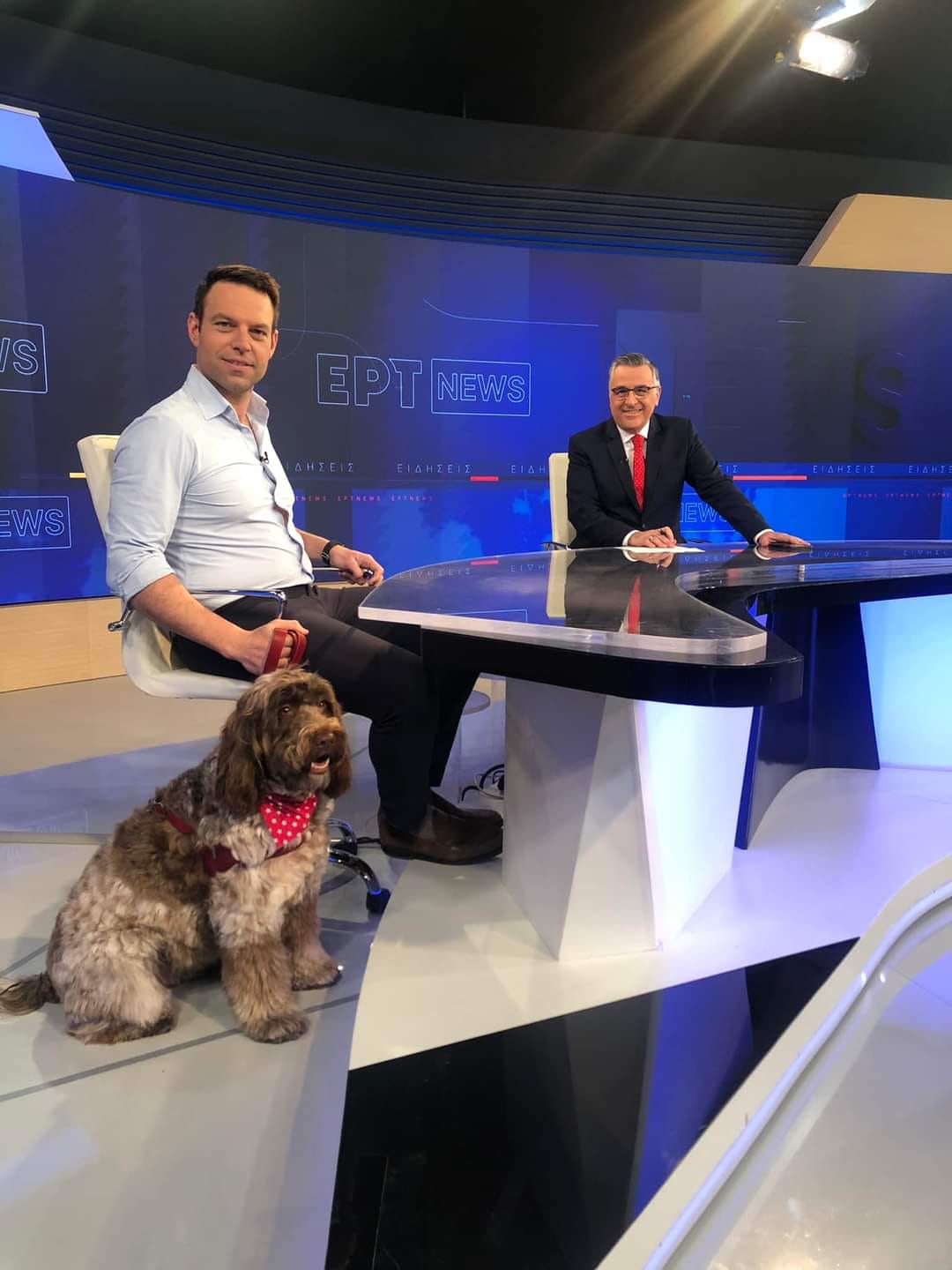 Στέφανος Κασσελάκης: «Δεν τίθεται θέμα αμφισβήτησης – Λάθος να μην έρθει στο συνέδριο ο Τσίπρας»-1