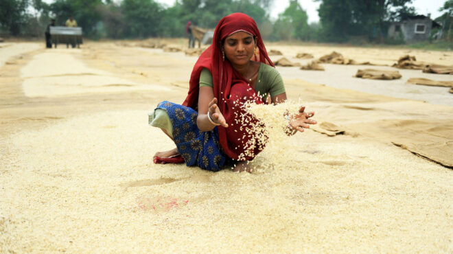 η-πείνα-είναι-το-μεγαλύτερο-πρόβλημα-τ-562860499