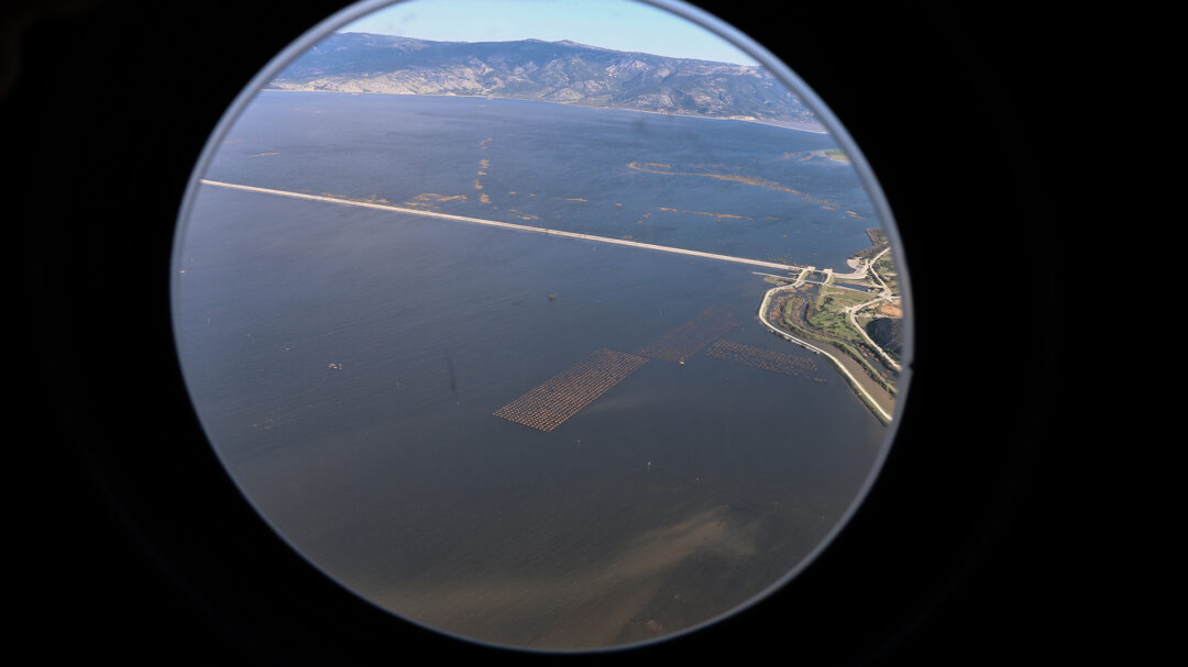 ακόμα-ψάχνω-τις-μελέτες-για-τα-αντιπλ-562868914