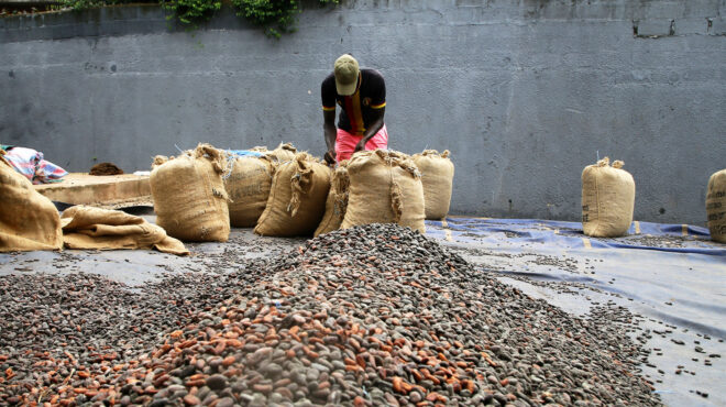 ανησυχίες-για-εκτόξευση-της-τιμής-της-562906411