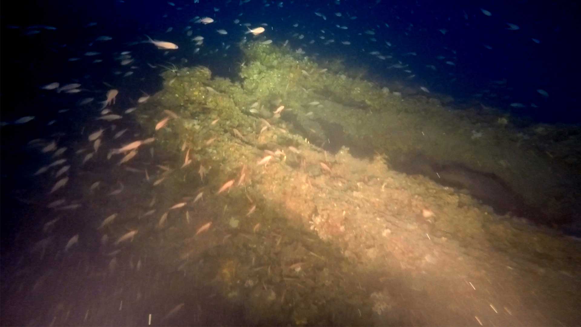 Ανακαλύπτοντας ένα υποβρύχιο του Α’ Παγκοσμίου Πολέμου στον πυθμένα του Θερμαϊκού-4