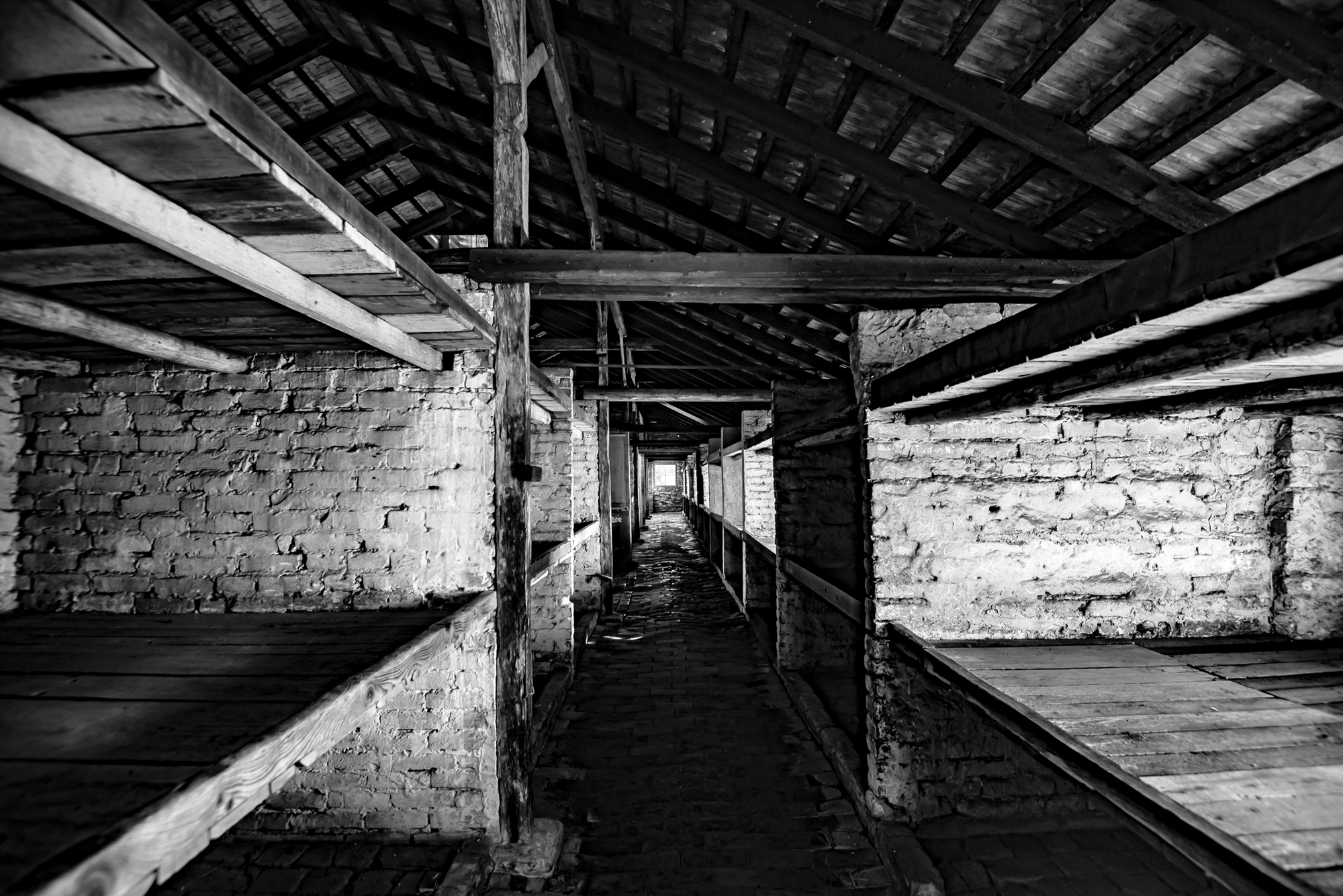 Αιχμαλωτίζοντας τις σκιές του Αουσβιτς-2