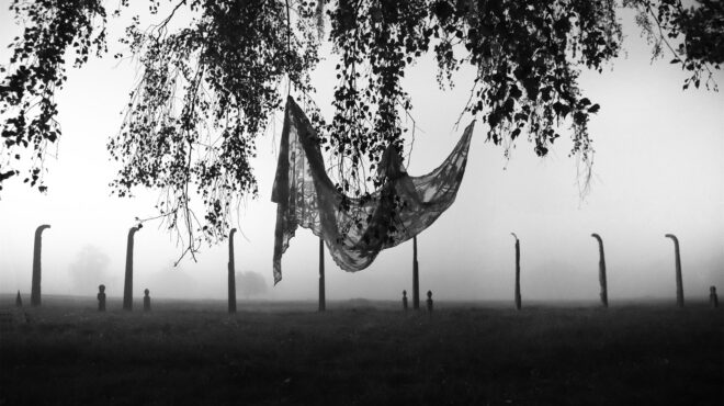 αιχμαλωτίζοντας-τις-σκιές-του-αουσβι-562870900