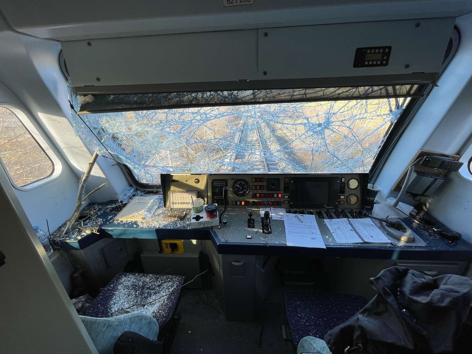 Τρένα: Το μπαλάκι των ευθυνών για τα δέντρα στις ράγες-1