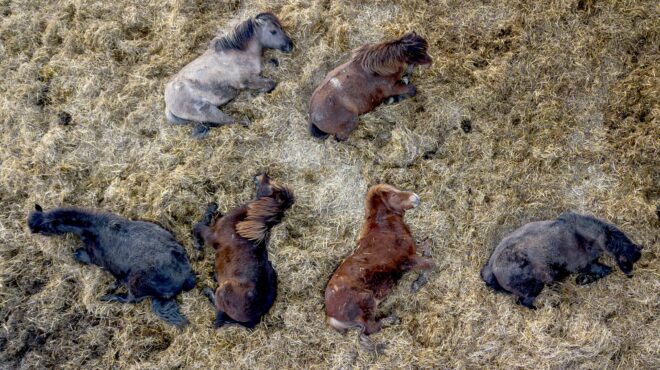 εντός-και-εκτός-η-ζωή-δεν-ξεχνάει-τίποτ-562895704