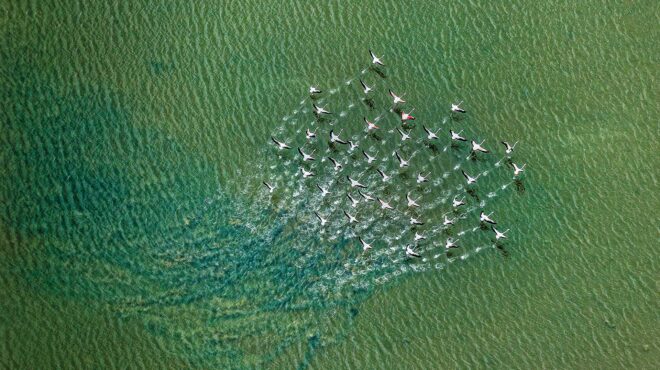 πόλη-του-μεξικού-αντιμέτωποι-με-τη-δίψ-562892956