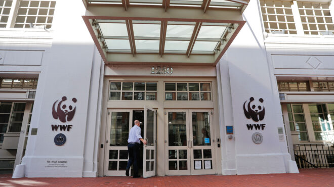 μετωπική-χατζηδάκη-και-wwf-για-τον-αιγια-562901497