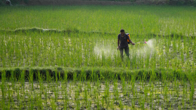 μείωση-50-80-των-φυτοφαρμάκων-με-γεωργία-α-562904668