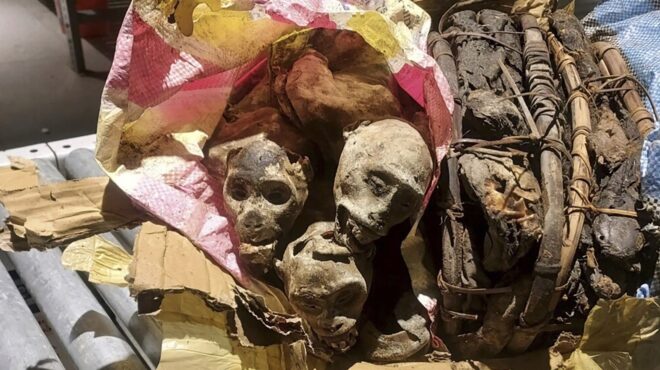 αστυνομικός-σκύλος-μύρισε-κάτι-περίε-562878772