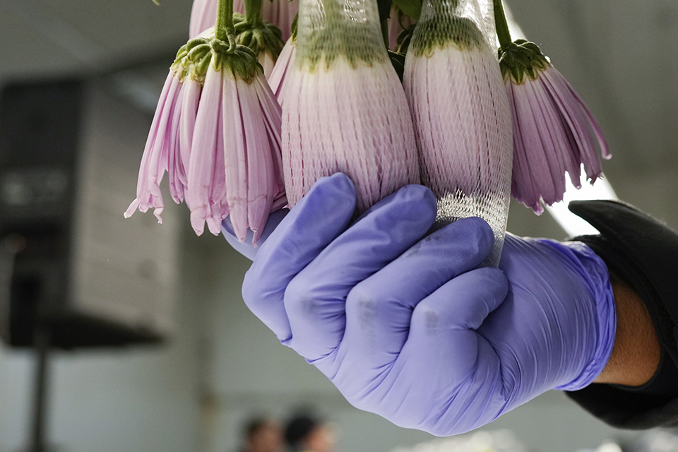 Μουσική από καΐκια-1