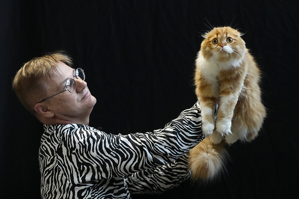 Γλυκό ρύζι και φανάρια-3