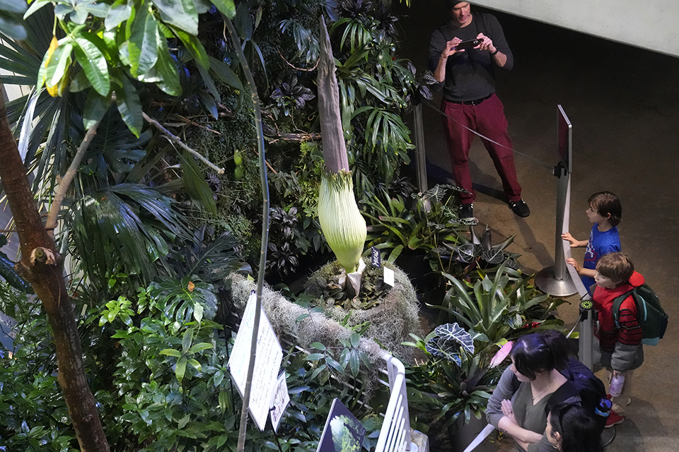 Με τα δάχτυλα στην οδύνη-2