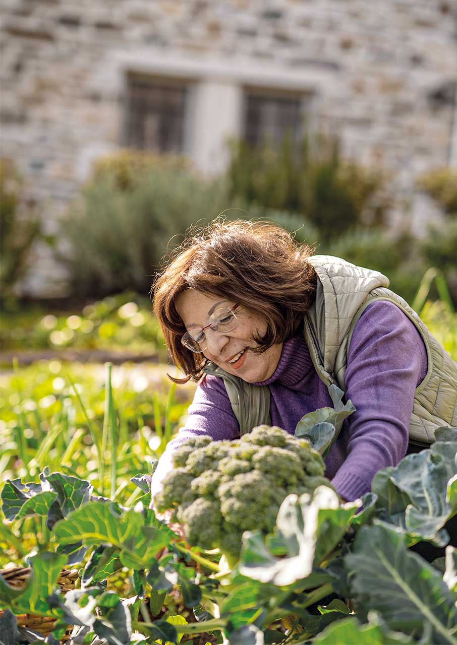 5 μαγευτικοί ξενώνες που πρέπει να επισκεφθείτε στη Θεσσαλία-28