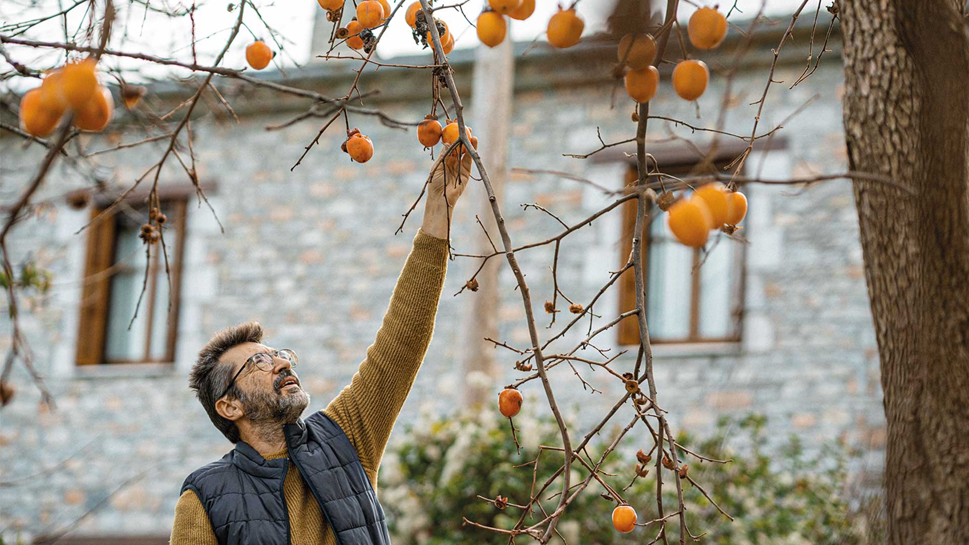 5 μαγευτικοί ξενώνες που πρέπει να επισκεφθείτε στη Θεσσαλία-27