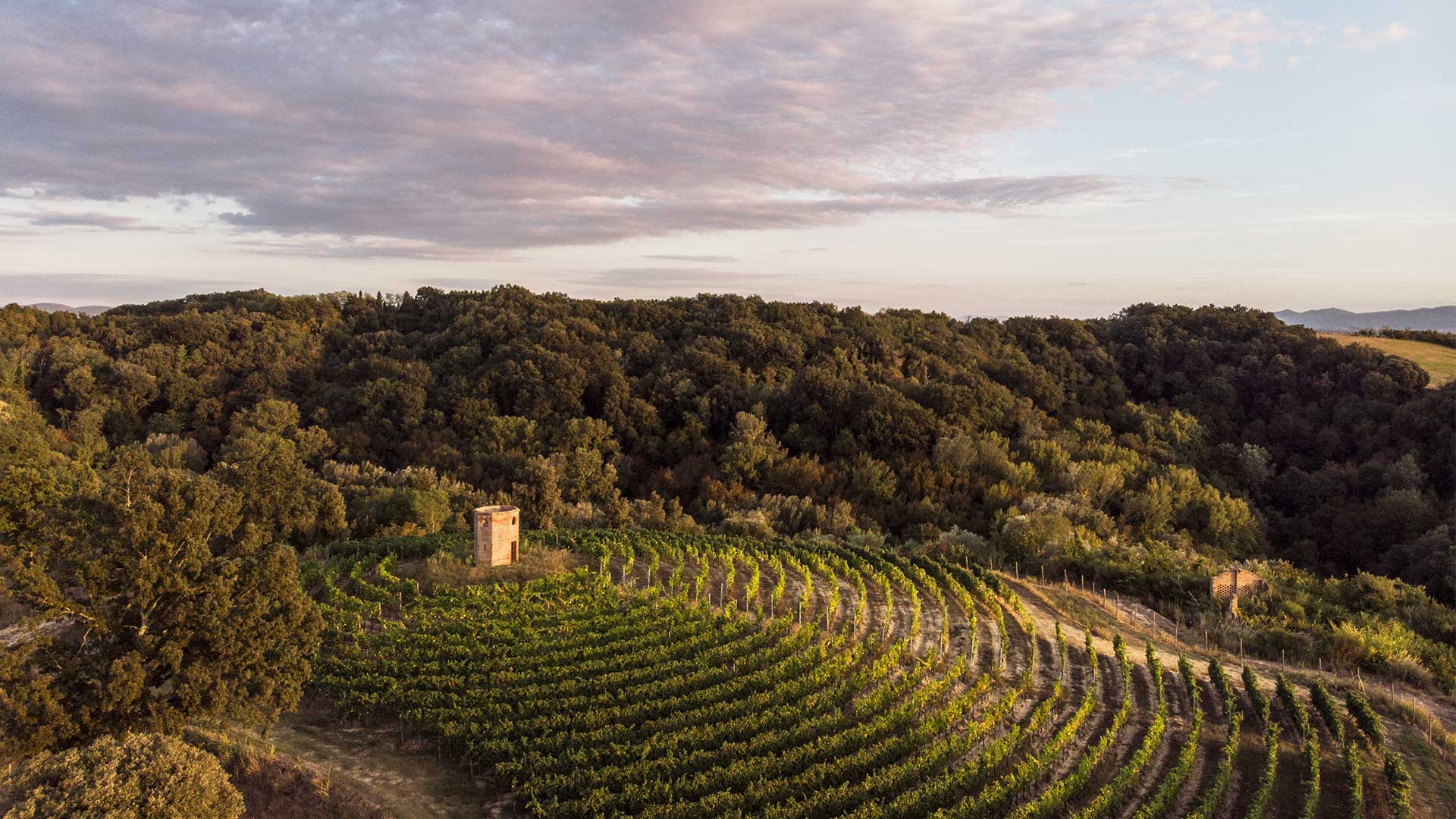 Ενα ταξίδι γαστροτουρισμού στη μοναδική Τοσκάνη-2