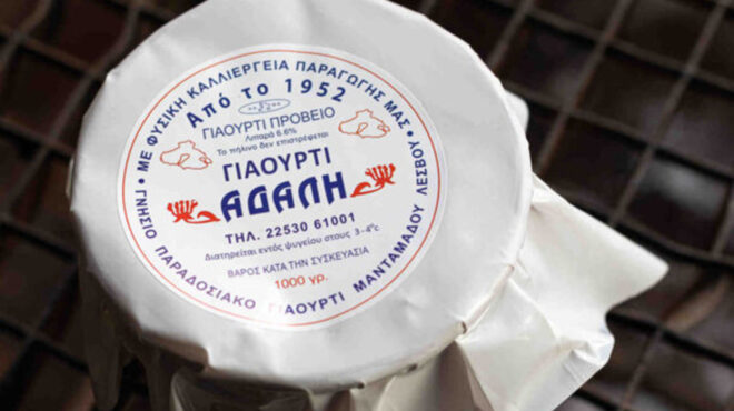 το-πρόβειο-του-αδαλή-είναι-από-τα-κορυφ-562880617