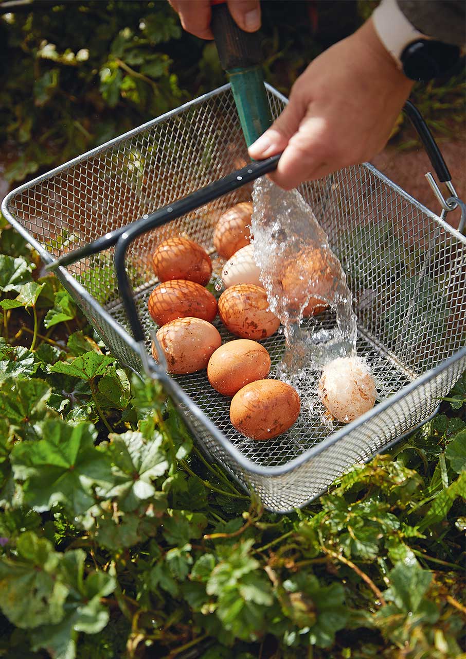 5 μαγικοί ξενώνες της Πελοποννήσου που πρέπει να γνωρίσετε-14