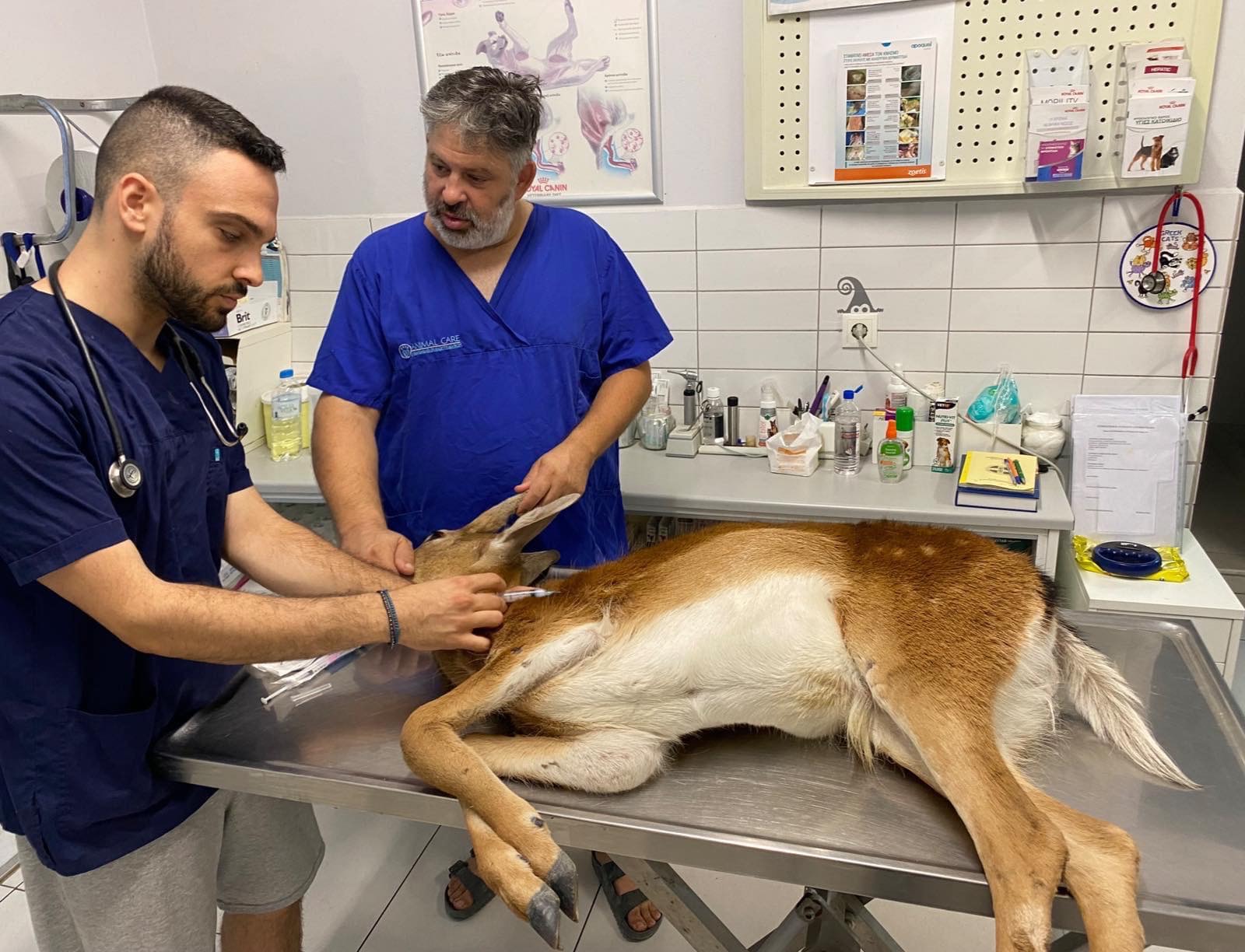 Ο μαχητής της Ρόδου επέστρεψε σπίτι του-2