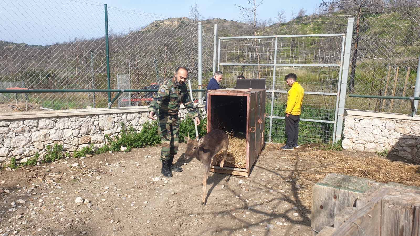 Ο μαχητής της Ρόδου επέστρεψε σπίτι του-5