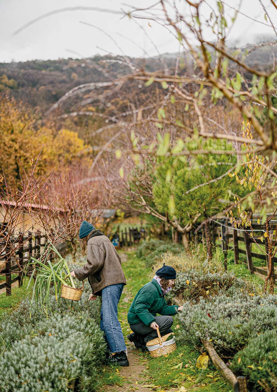 5 μαγευτικοί ξενώνες που πρέπει να επισκεφθείτε στη Θεσσαλία-23