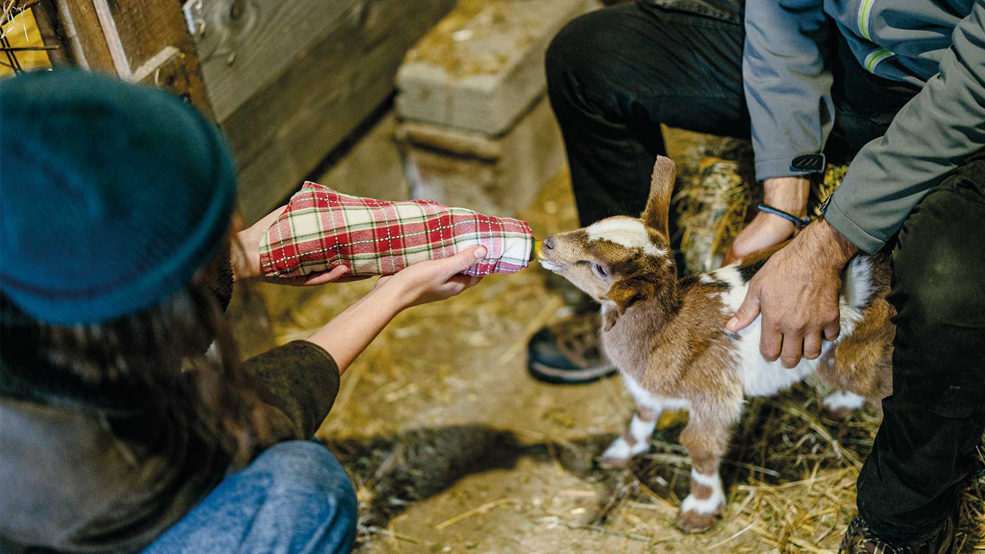 5 μαγευτικοί ξενώνες που πρέπει να επισκεφθείτε στη Θεσσαλία-22