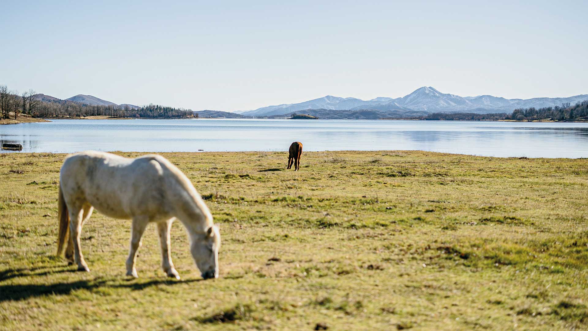 5 μαγευτικοί ξενώνες που πρέπει να επισκεφθείτε στη Θεσσαλία-6