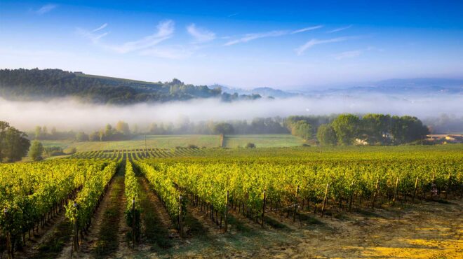 ενα-ταξίδι-γαστροτουρισμού-στη-μοναδ-562868827