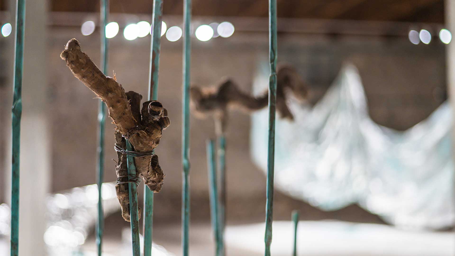 Η Στεφανία Στρούζα έφερε τη Μήδεια στη βιομηχανική γη της Ελευσίνας-3