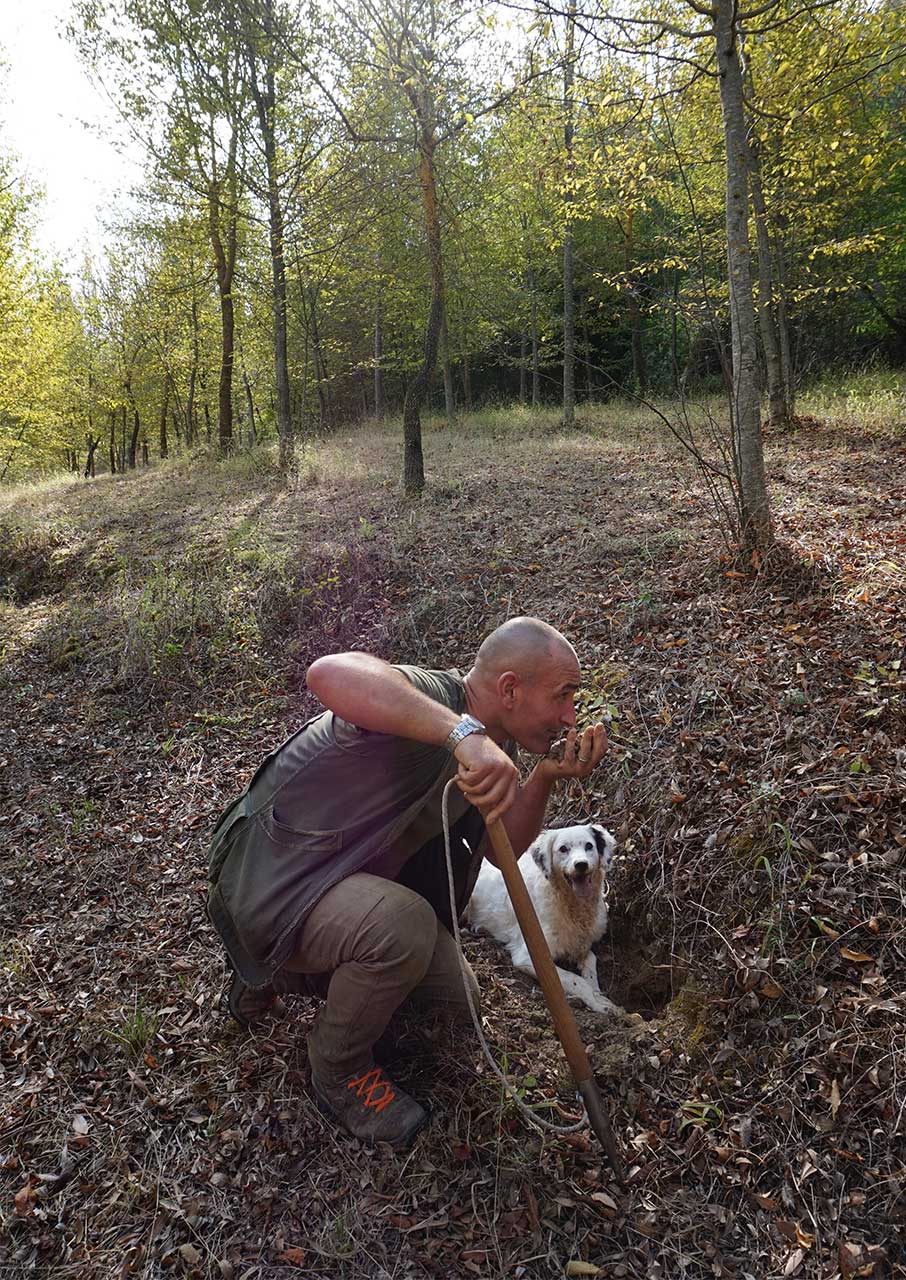 Ενα ταξίδι γαστροτουρισμού στη μοναδική Τοσκάνη-4