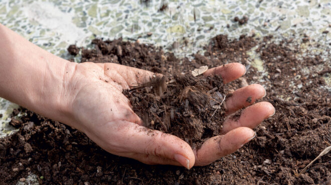 αυτό-είναι-το-κατάλληλο-χώμα-για-κάθε-φ-562887250