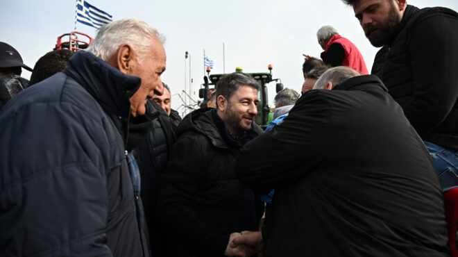 ανδρουλάκης-η-κυβέρνηση-δεν-έχει-όραμ-562865659